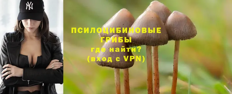 нарко площадка состав  Мирный  Псилоцибиновые грибы Magic Shrooms 